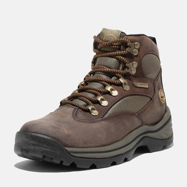 Chocorua Trail Gore-Tex® Dömu gönguskór